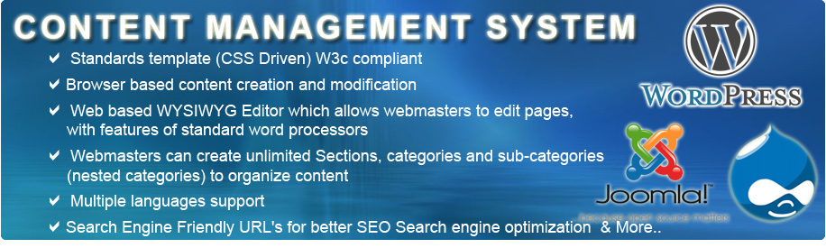 Content Management Website Development